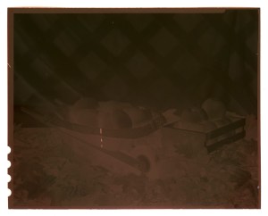 453e9-caffenol-c-l0042bneg2b6000